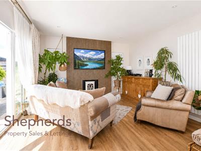Picture 3